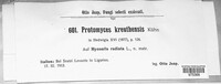 Protomyces kreuthensis image